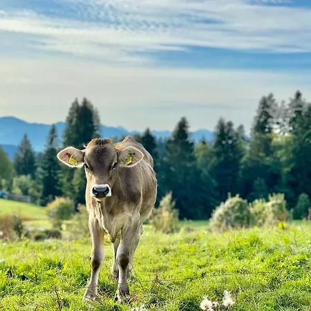 Lägenhet Jj Living - Alpenblick 073